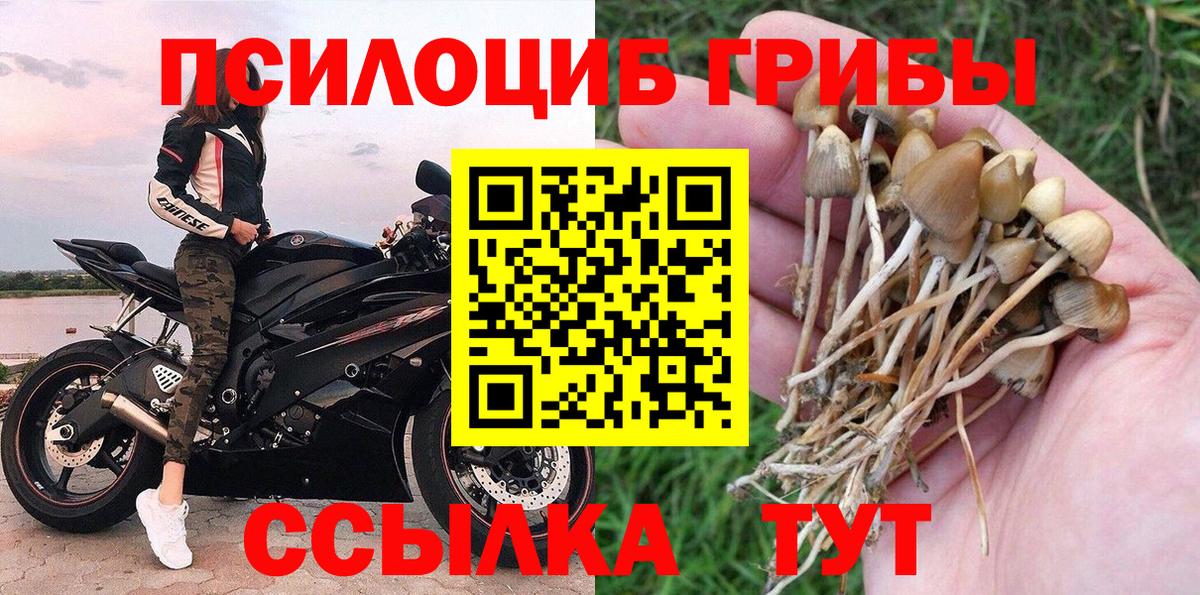 Галлюциногенные грибы Cubensis  Вход с VPN  Сафоново 
