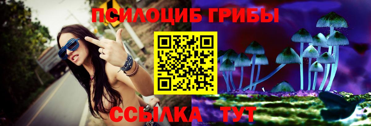 Галлюциногенные грибы Psilocybe Сафоново