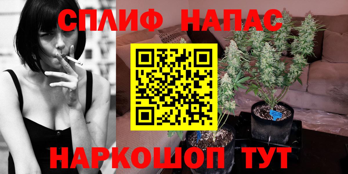 Сафоново  Бошки Шишки LSD WEED  Шишки марихуана план  Канабис гибрид  Вход с VPN 